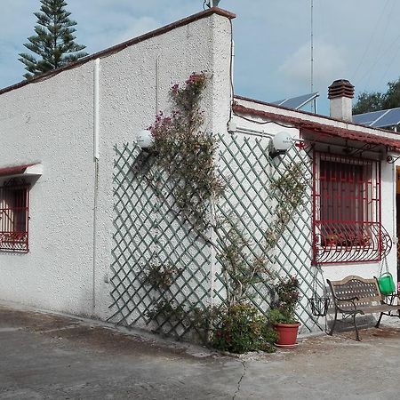 B&B Villa Lucia Mesagne Extérieur photo