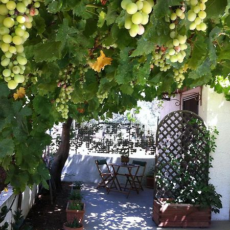 B&B Villa Lucia Mesagne Extérieur photo