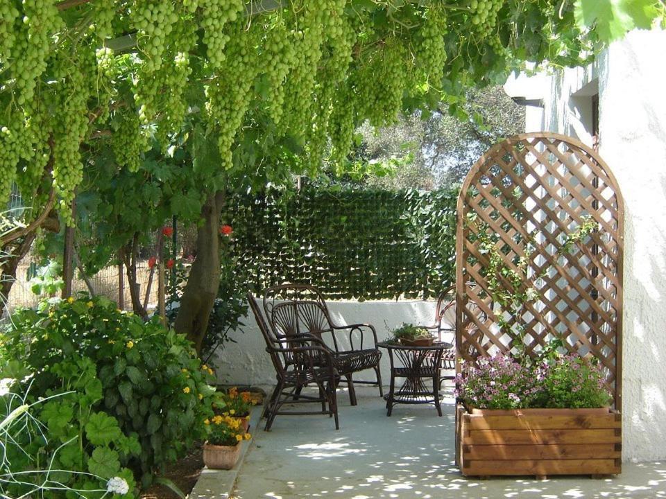 B&B Villa Lucia Mesagne Extérieur photo