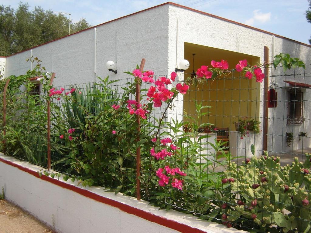 B&B Villa Lucia Mesagne Extérieur photo