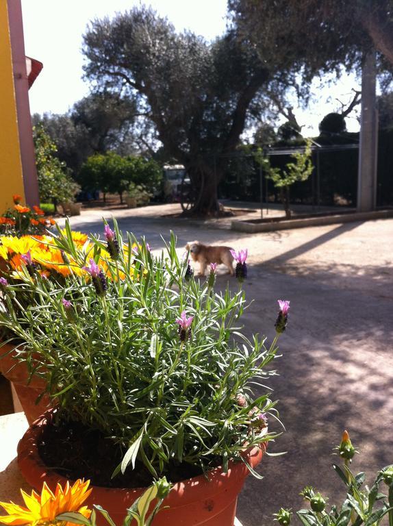 B&B Villa Lucia Mesagne Extérieur photo