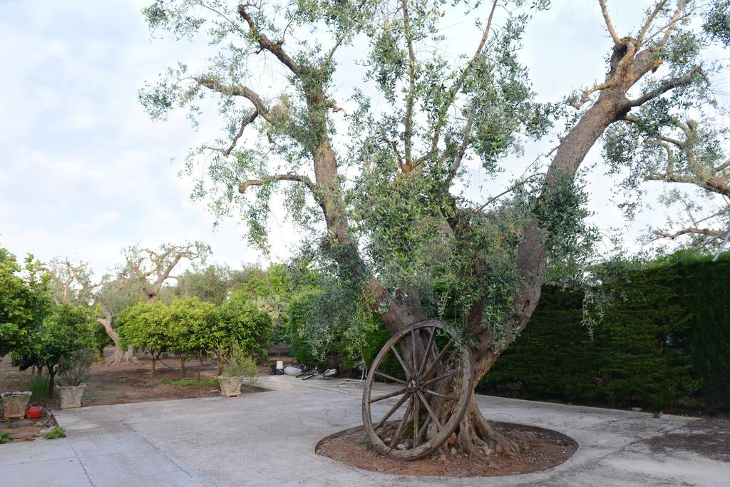 B&B Villa Lucia Mesagne Extérieur photo