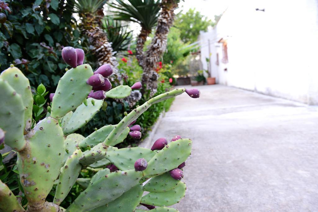 B&B Villa Lucia Mesagne Extérieur photo