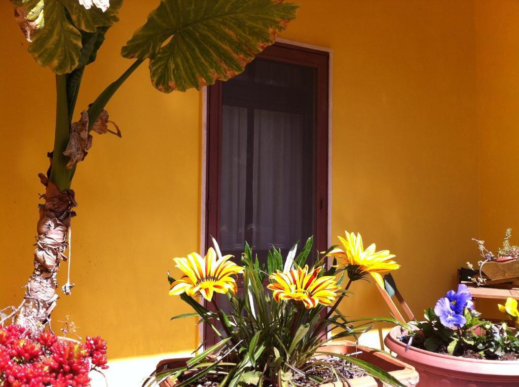 B&B Villa Lucia Mesagne Extérieur photo