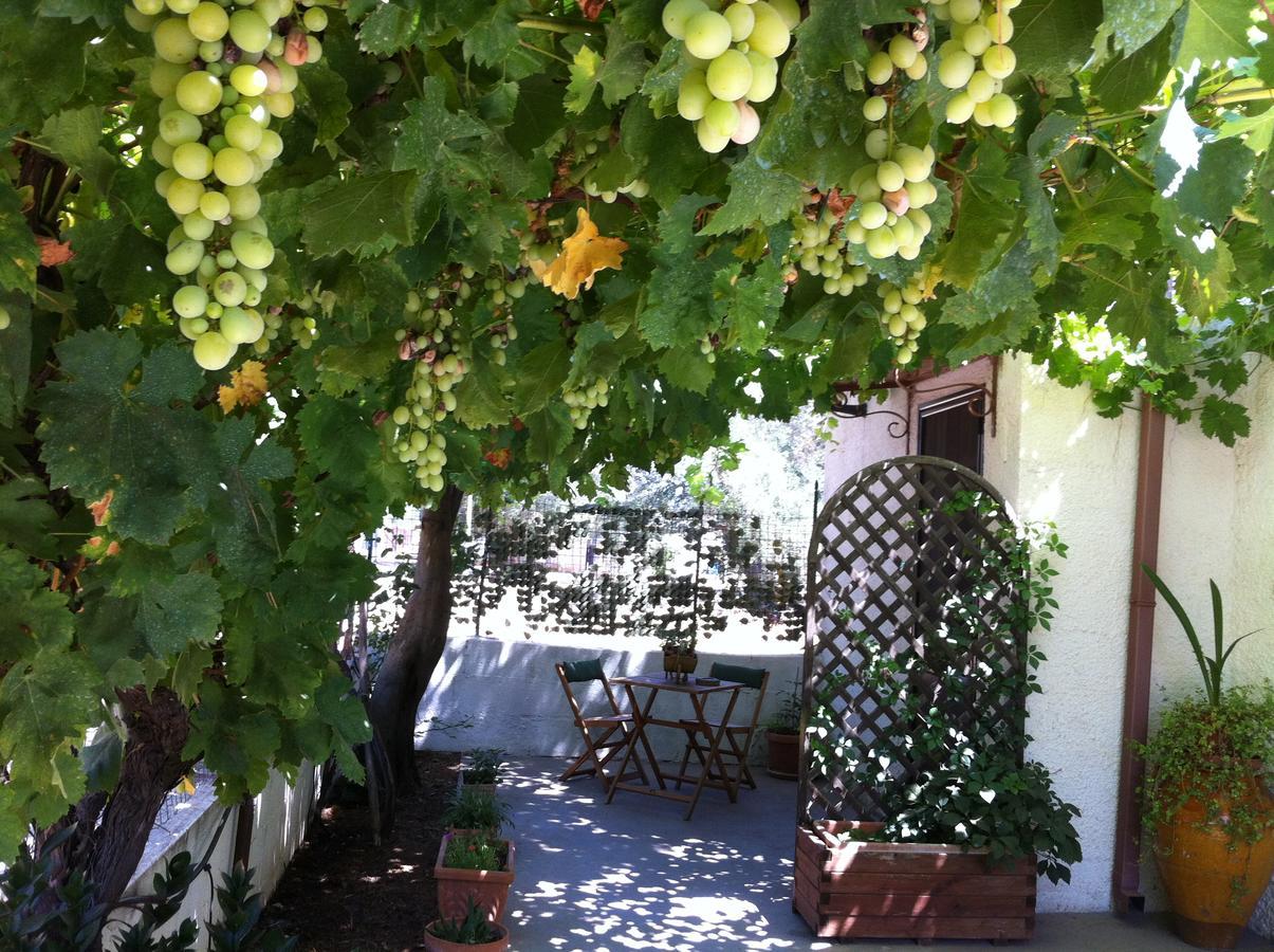 B&B Villa Lucia Mesagne Extérieur photo